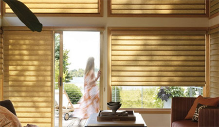 Alpine Shutters Window Shades