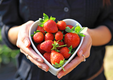 Tower Gardening and Juice Plus - Healthy Food