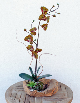 Unique Florals by Ube Unique Florals by Ube