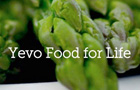 Yevo Big Logo