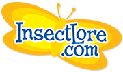 Insect Lore Insect Lore