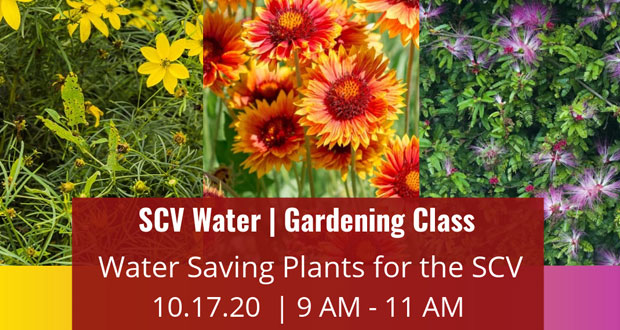 SCV-WaterGardeningClass SCV Water October 2020 Gardening Clss