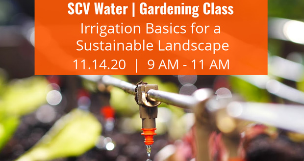 SCVWater-Nov2020 SCV Water November Class