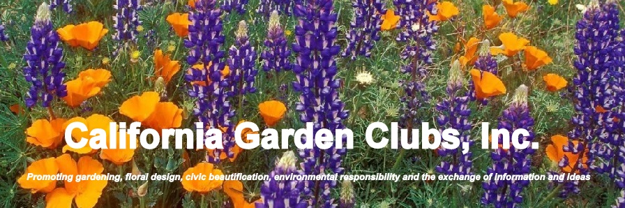 The Gardening Club Of Santa Clarita 2020 Khts Santa Clarita Home