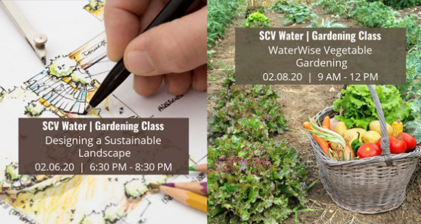 Learn About Vegetable Gardening Landscape Design At Scv Water