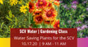 SCV Water October 2020 Gardening Clss